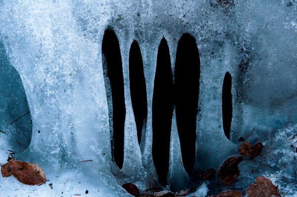 Gueule-de-glace