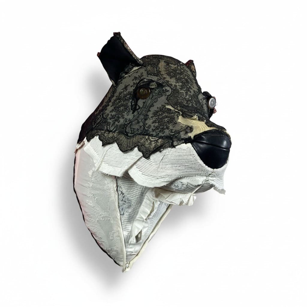 pro-shot-18e841dc-73ab-4178-8554-db609c538064