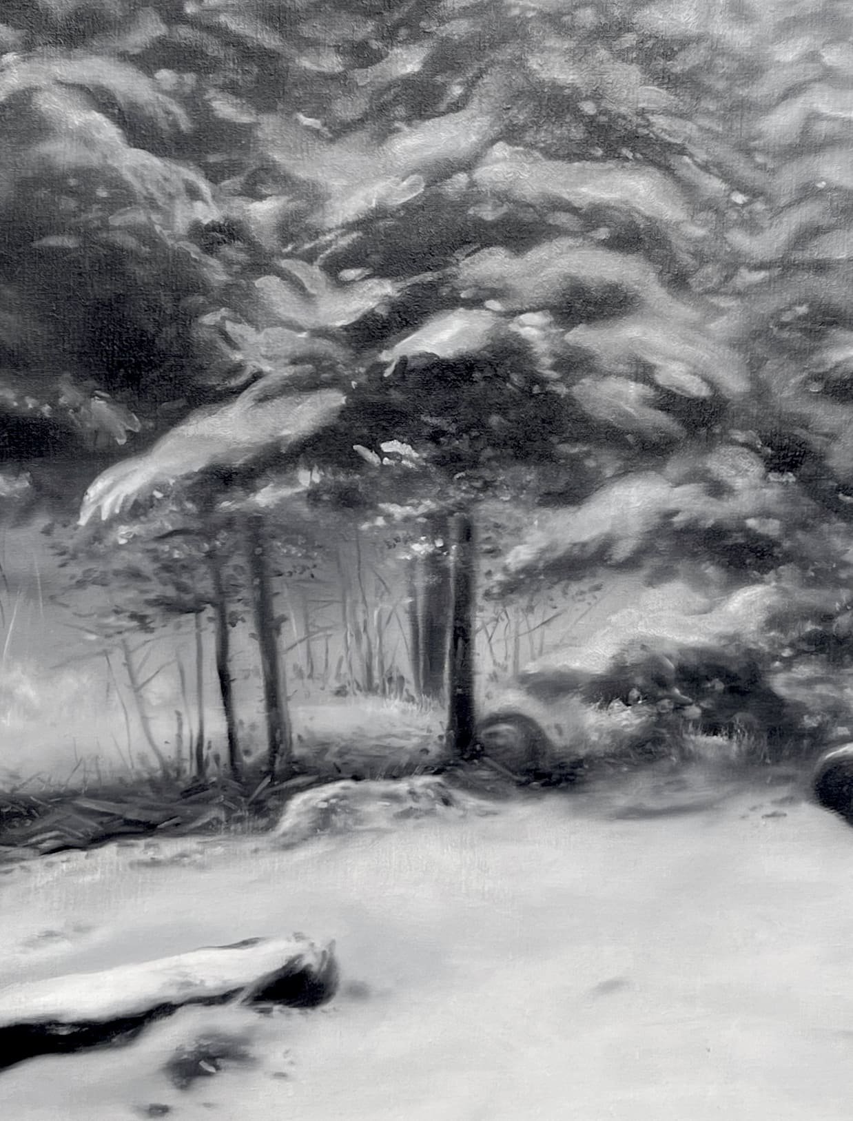 TRISTAN "forêt enneigée" – Image 2