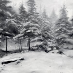 Forêt enneigée en noir et blanc