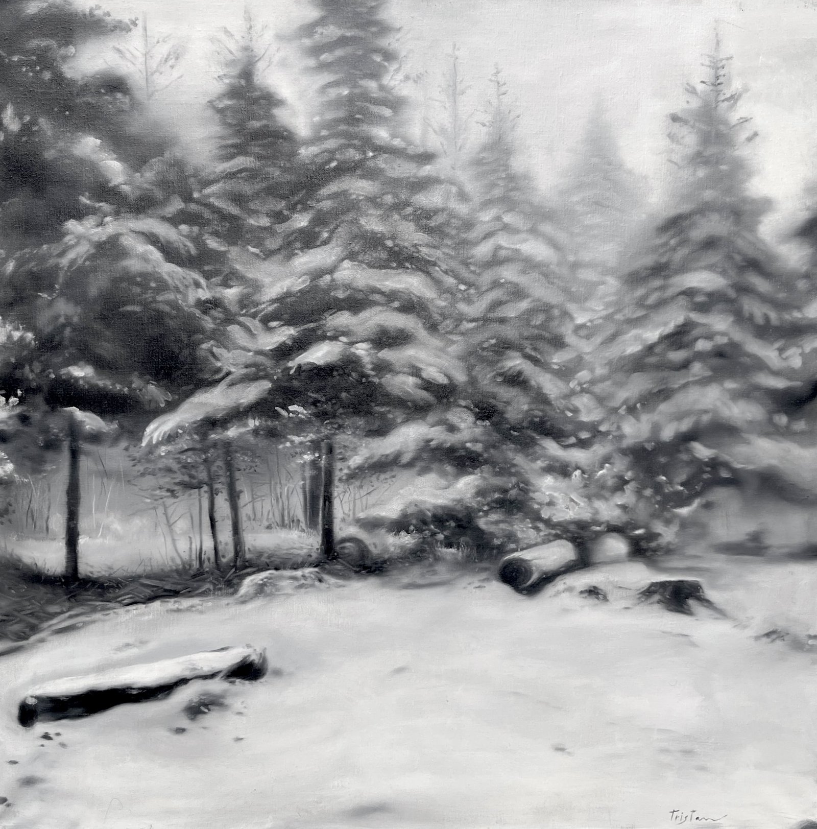 Forêt enneigée en noir et blanc